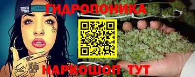 ПСИЛОЦИБИНОВЫЕ ГРИБЫ Можайск
